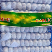 Export Chinese wholesale fresh garlic high quality garlic for sale